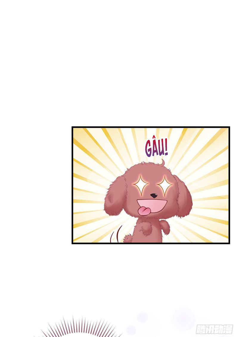 tôi nghi ngờ hệ thống thích tôi chapter 19 66