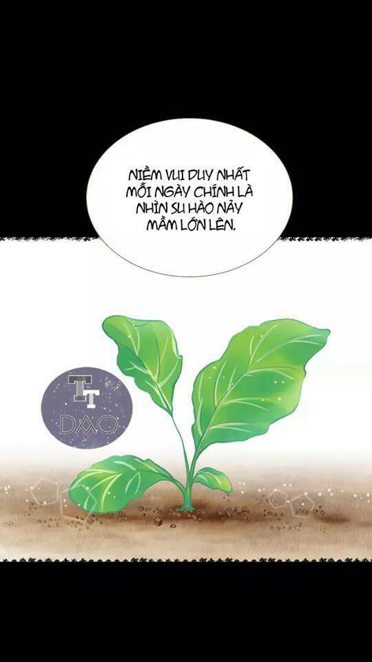 tân lang yếu tòng tiểu dưỡng khởi chapter 13 18