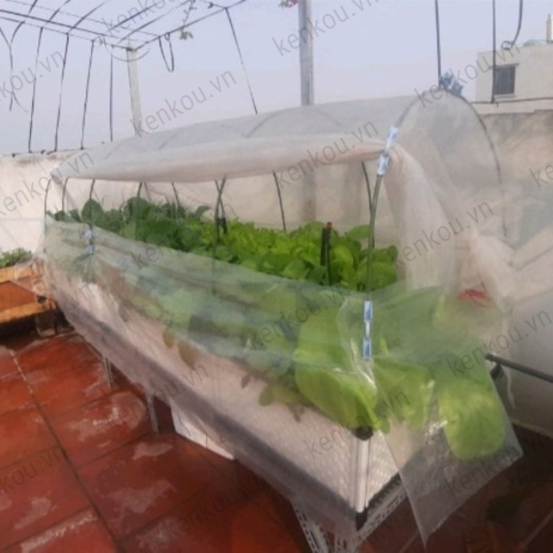 Màng phủ vải không dệt khổ 2.1m x dài 30m Passlite, Paopao Nhật Bản, ngăn sương, ngăn mưa, giữ ấm, thông thoáng