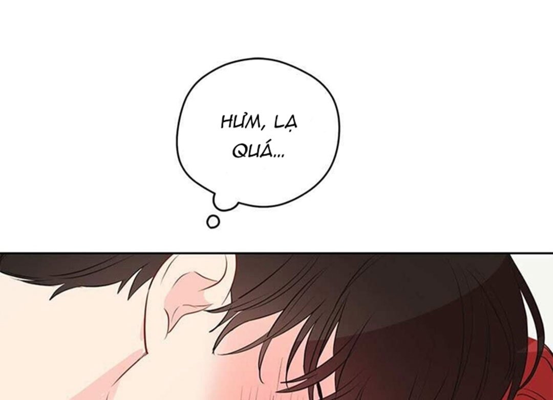 chuyện quái gì với giấc mơ đó vậy chapter 28 36