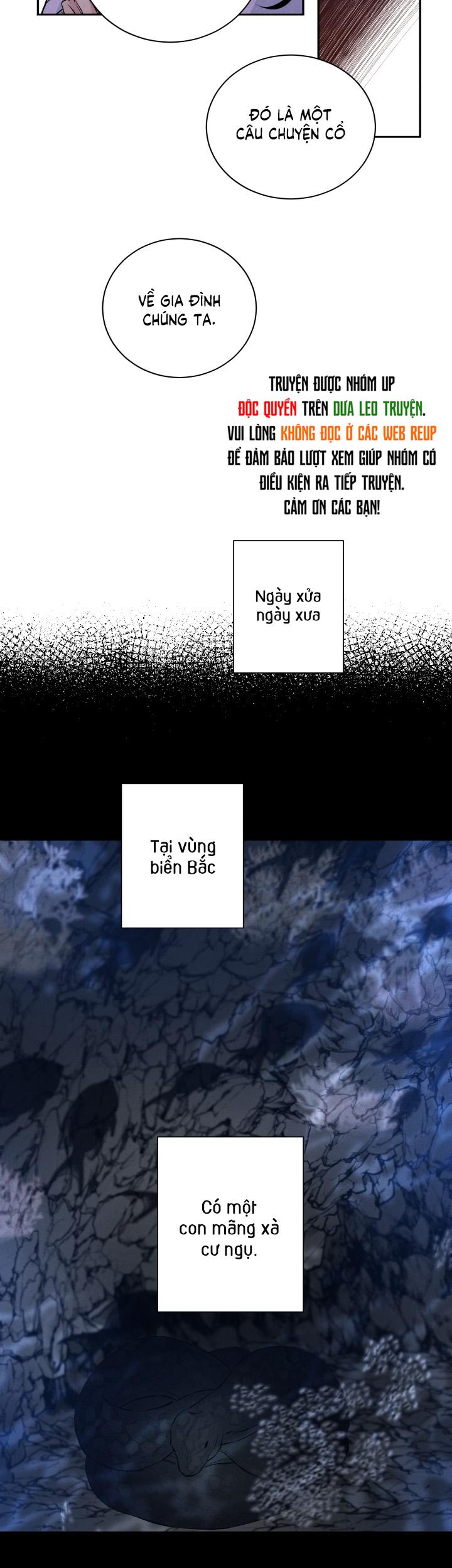 âm thanh của san hô chapter 29 15