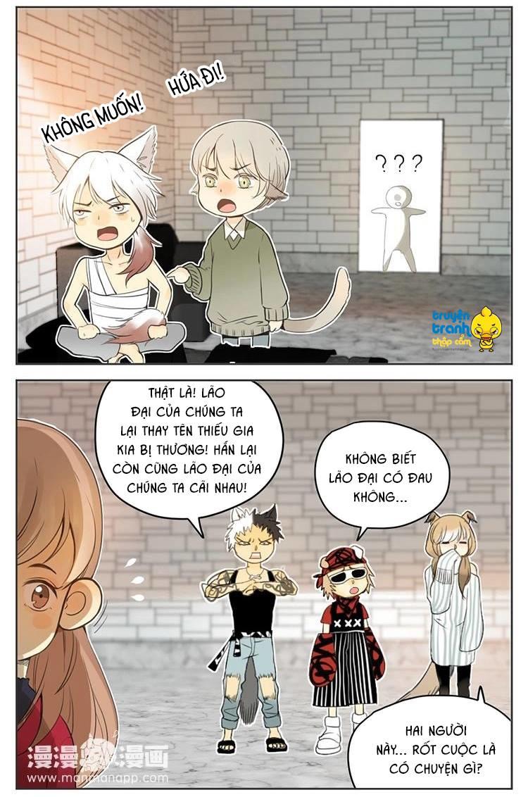 cứu mạng ! loài mèo thống trị thế giới rồi ! chapter 29 4