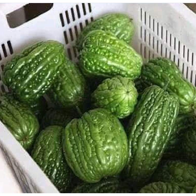 Combo 3 gói hạt giống khổ qua trái tim xanh dể trồng f1-gói 5 hạt-tặng kèm gói phân bón lót