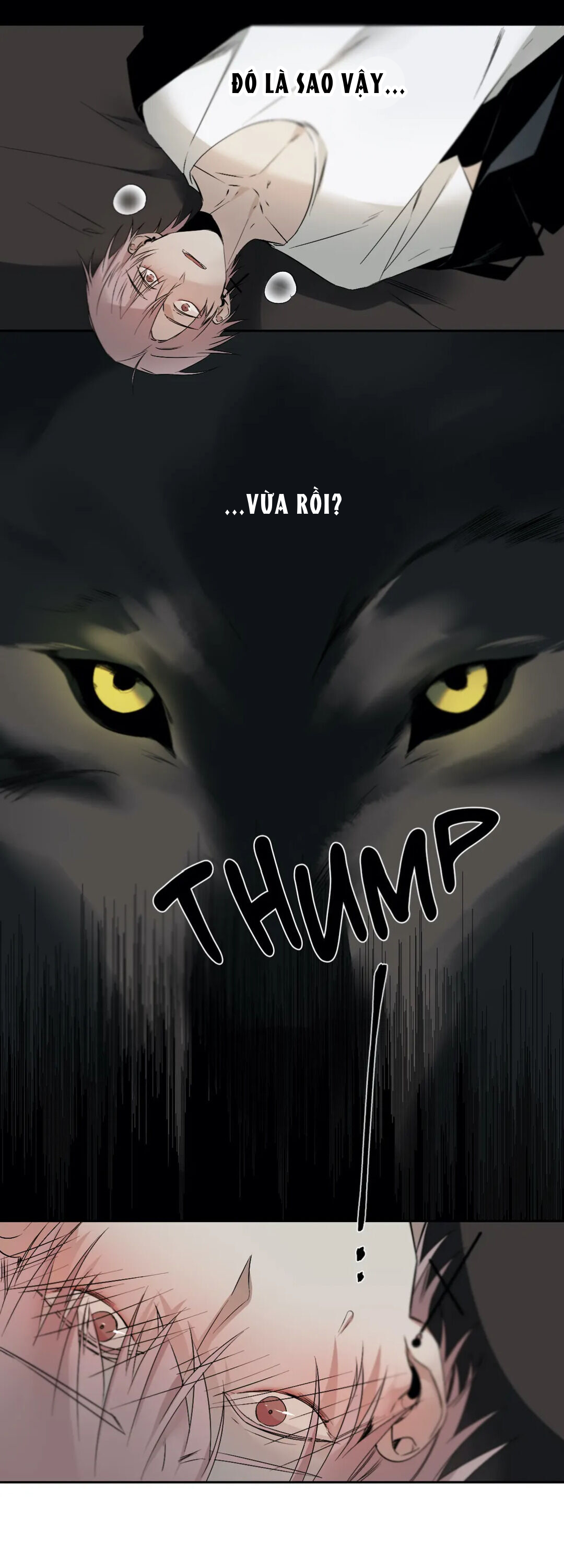 aporia chapter 58 25