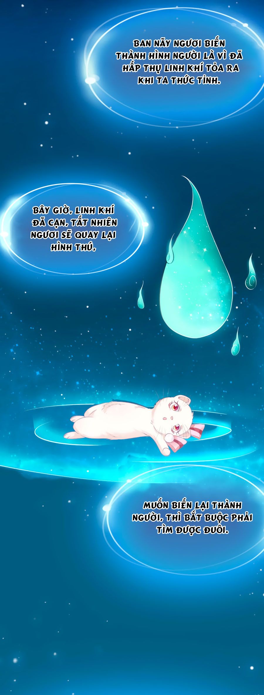 Dưỡng Thú Vi Phi chapter 4 - Trang 5