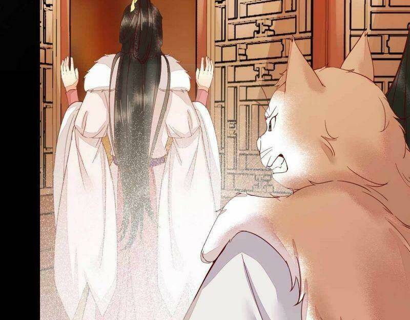 sát thủ vương phi không dễ chọc chapter 45 55