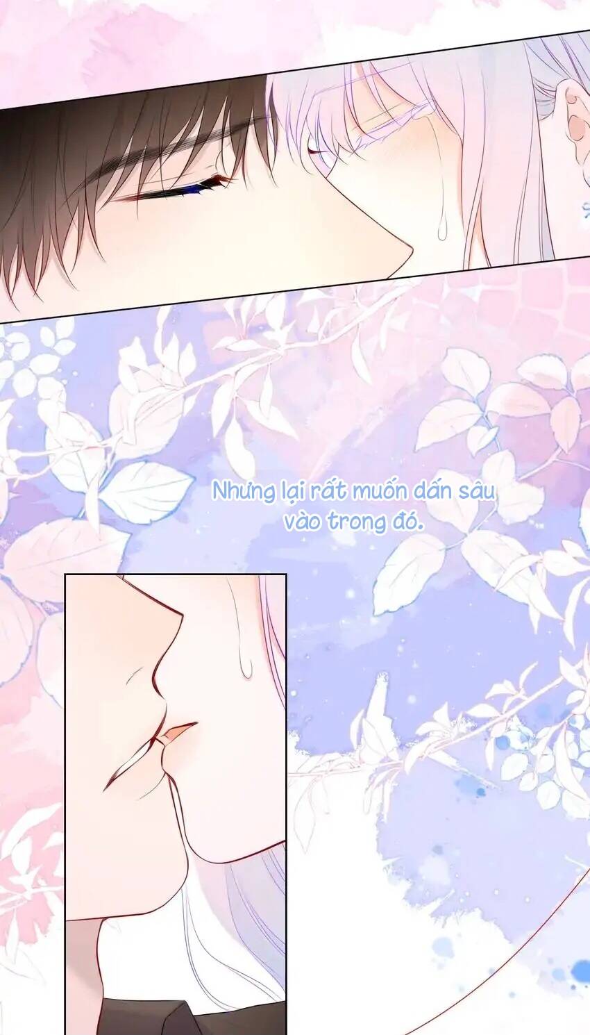 vì sao của tôi chapter 131 23