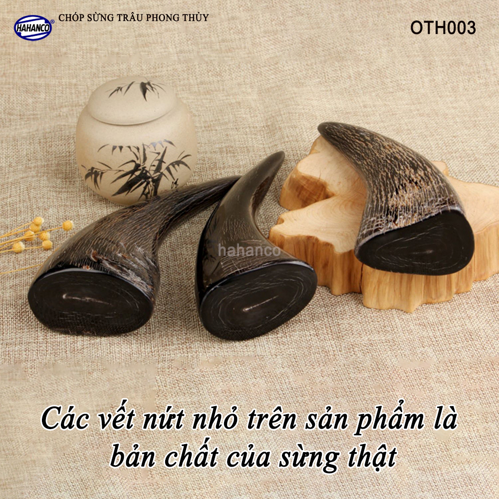 Chóp sừng trâu vật phẩm phong thủy (OTH003) HOT nhất của năm trâu vàng 2021 - giàu sang - phú quý 