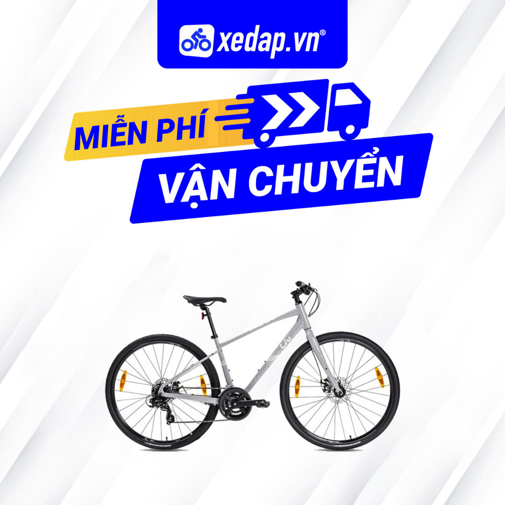 Xe Đạp Thể Thao Đường Phố Touring LIV Alight 3 DD Disc – Phanh Đĩa , Bánh 700C – 2024