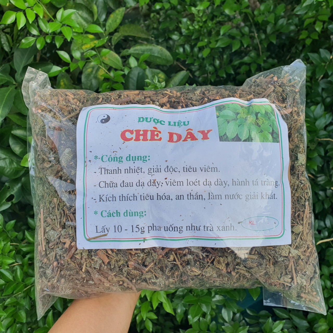 Túi 1Kg Chè Dây hỗ trợ đau dạ dày tá tràng