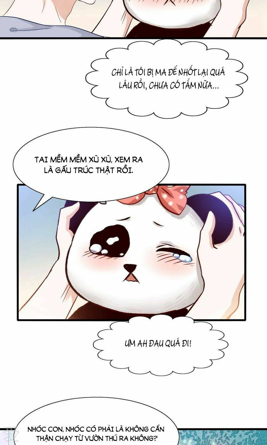 tôi bị gấu trúc nhìn trúng rồi chapter 3 7