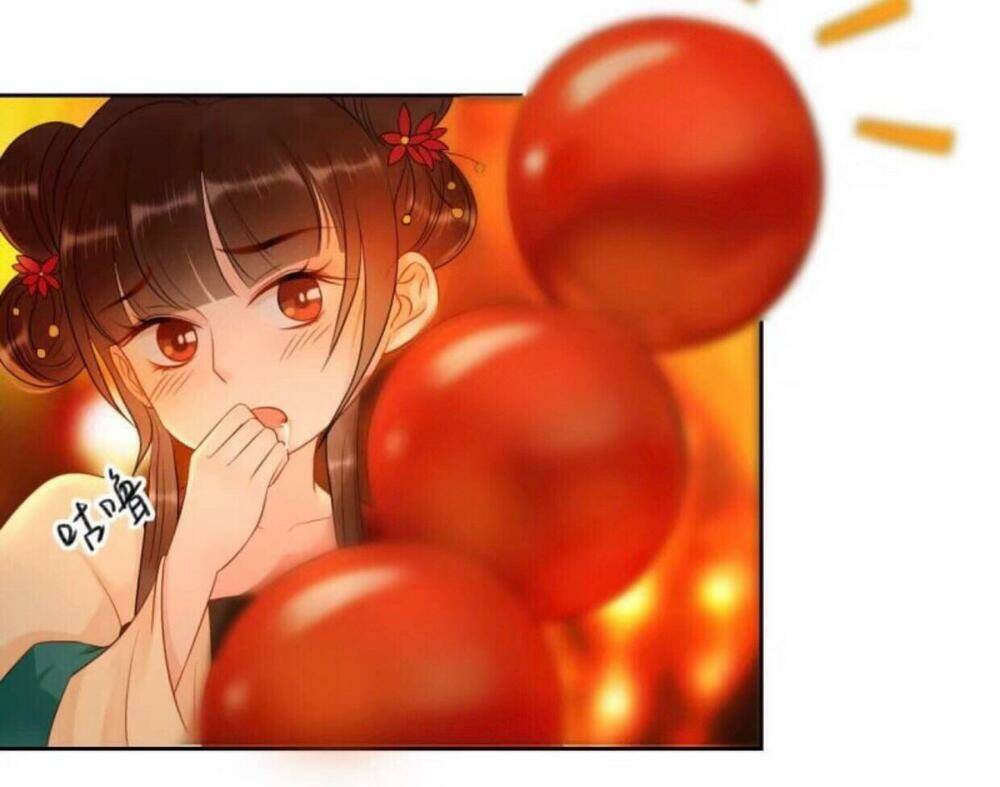 sủng phi của vương chapter 47 16