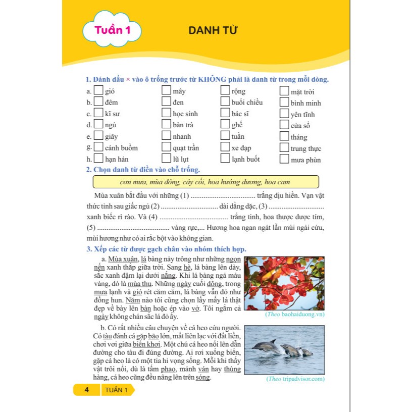Sách - Vở Bài Tập Nâng Cao Từ Và Câu Lớp 4 ( Theo Chương Trình GDPT mới ) - Kết Nối - Ndbooks