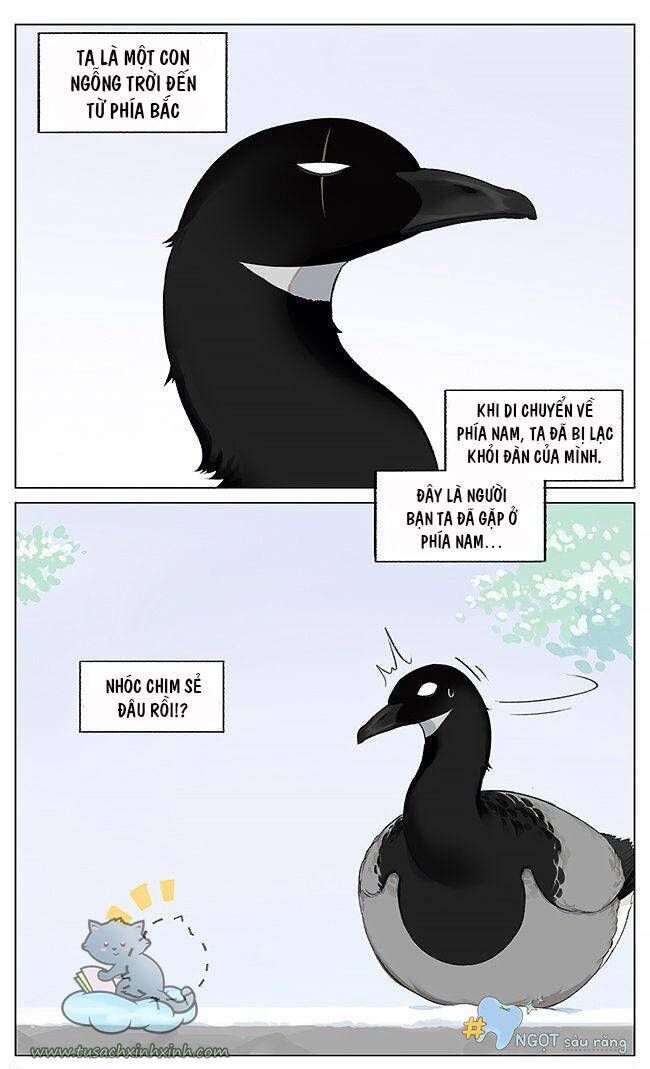 chim sẻ gọi ngỗng trời chapter 6 2