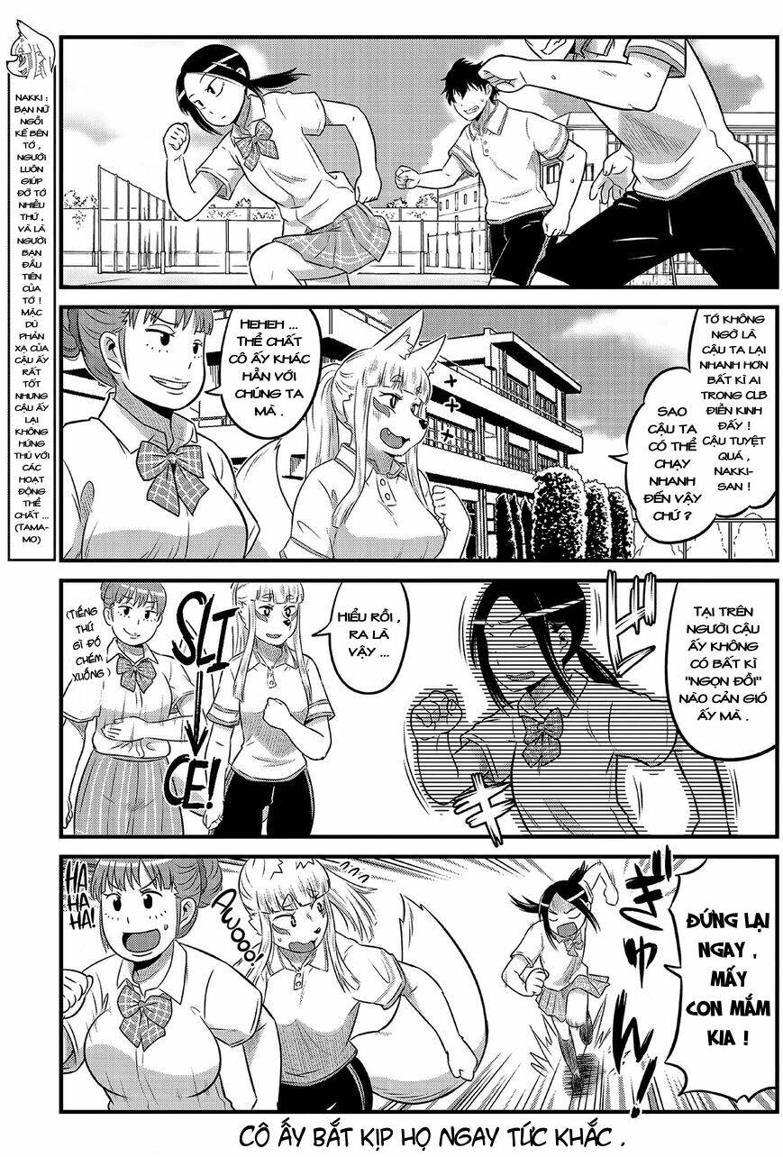 high school inari tamamo-chan ! chapter 12 8