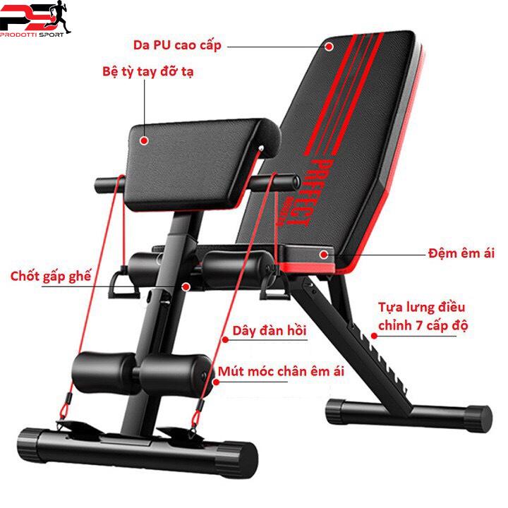 Ghế Tập Gym, Tập Tạ Đa Năng Hỗ Trợ Tập Cơ Tay, Bắp Tay, Cơ Bụng P189 Bảo Hành 12 Tháng