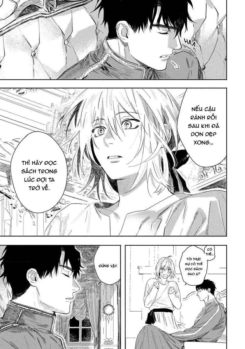 tình yêu hoa hồng dại chapter 2 21