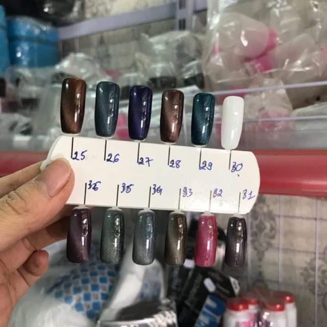 Combo 10 sơn gel các loại