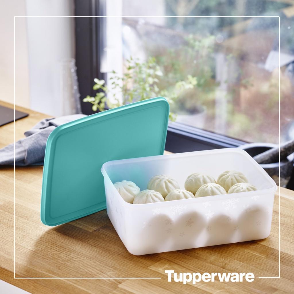 Hộp trữ đông Freezermate Gen II 5.7L (1 hộp) - Tupperware