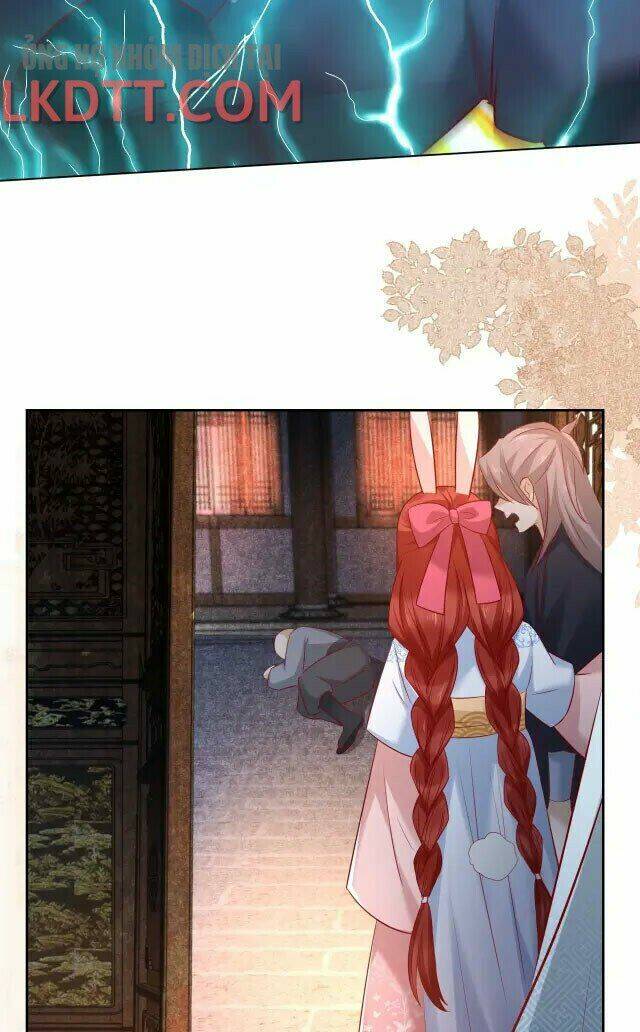 hắc hóa nam chính trực tuyến nuôi thỏ chapter 26 45