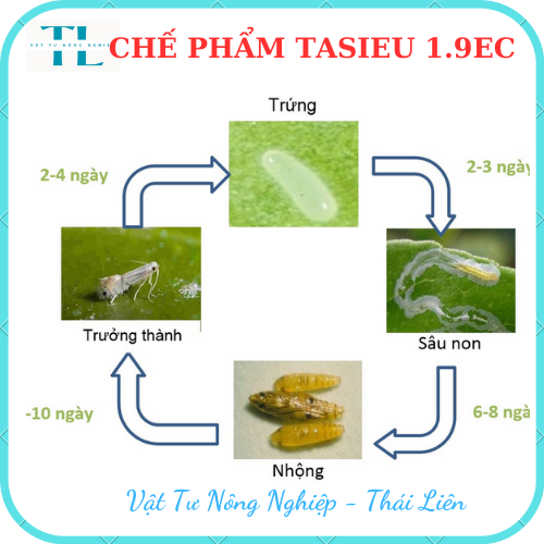 Thuốc bảo vệ thực vật Tasieu 1.9EC bảo vệ cây trồng