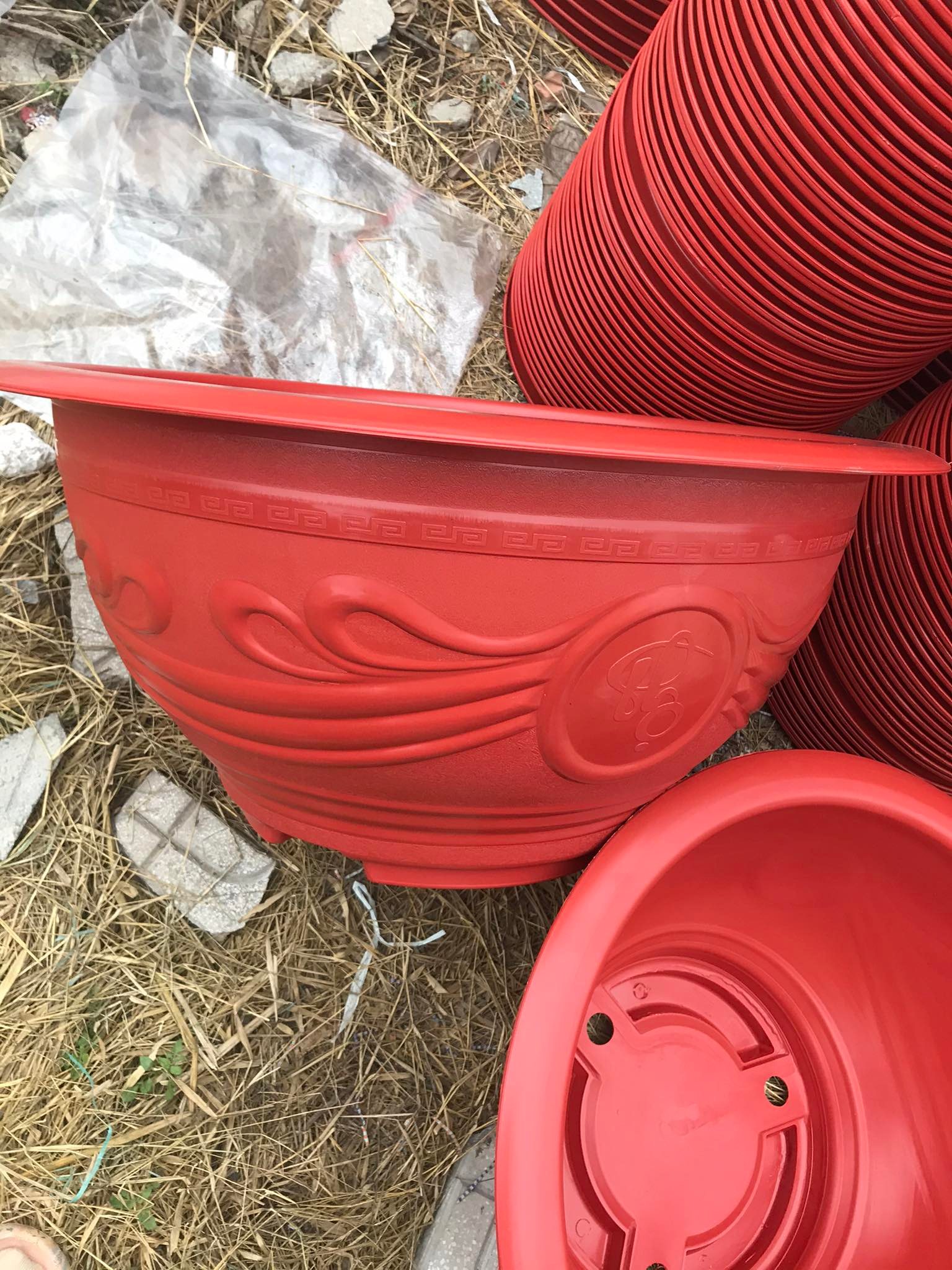 10 Chậu Trồng Cây Hoa ,Cây Cảnh Phúc Lộc Thọ T38