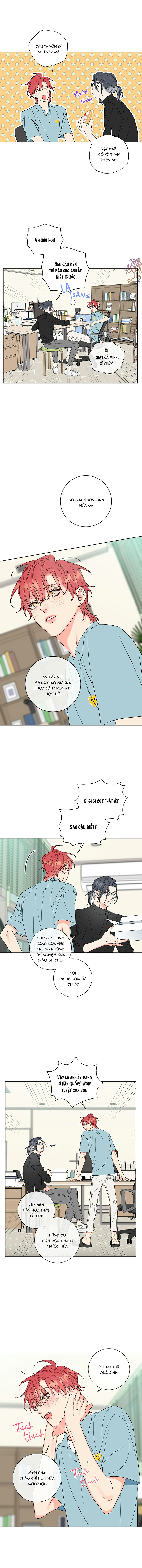 rắc rối mật ngọt chapter 6 6