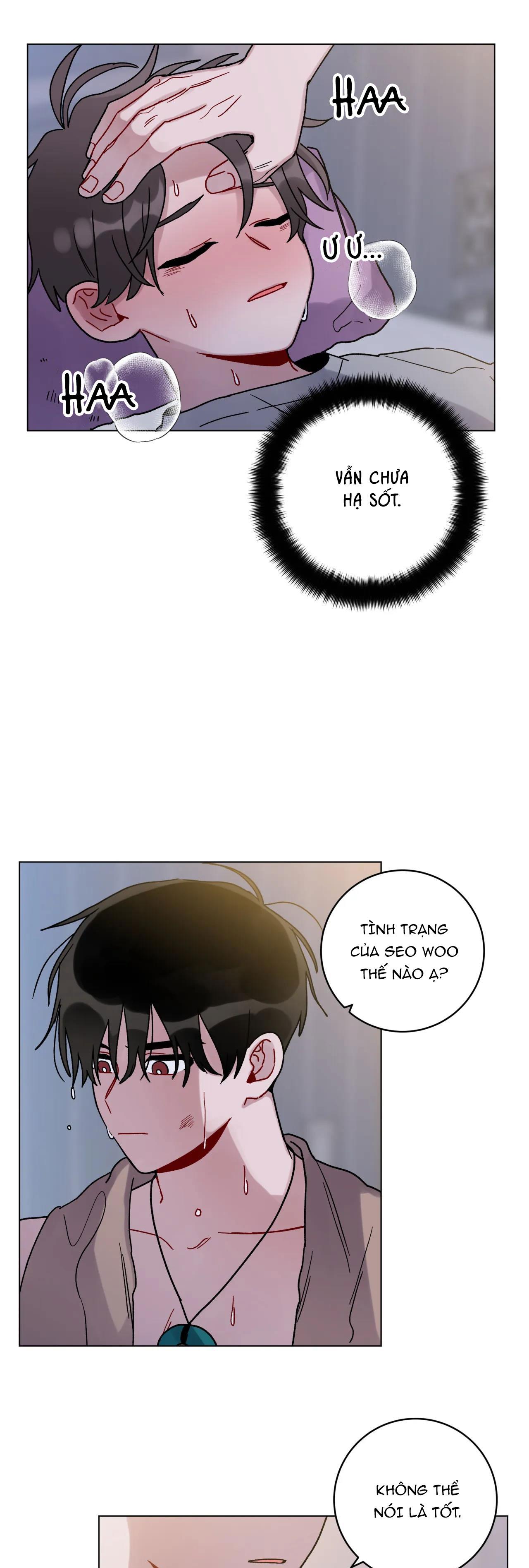 cơn mưa rào mùa hạ chapter 24 1