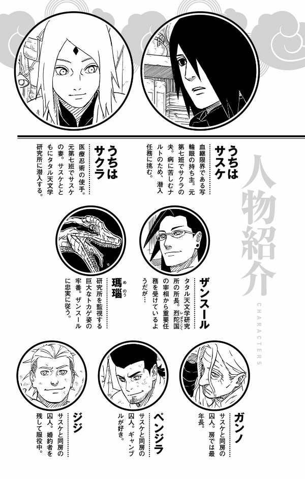 Naruto - Sasuke's Story: Sasuke Retsuden - Last Volume (Japanese Edition)