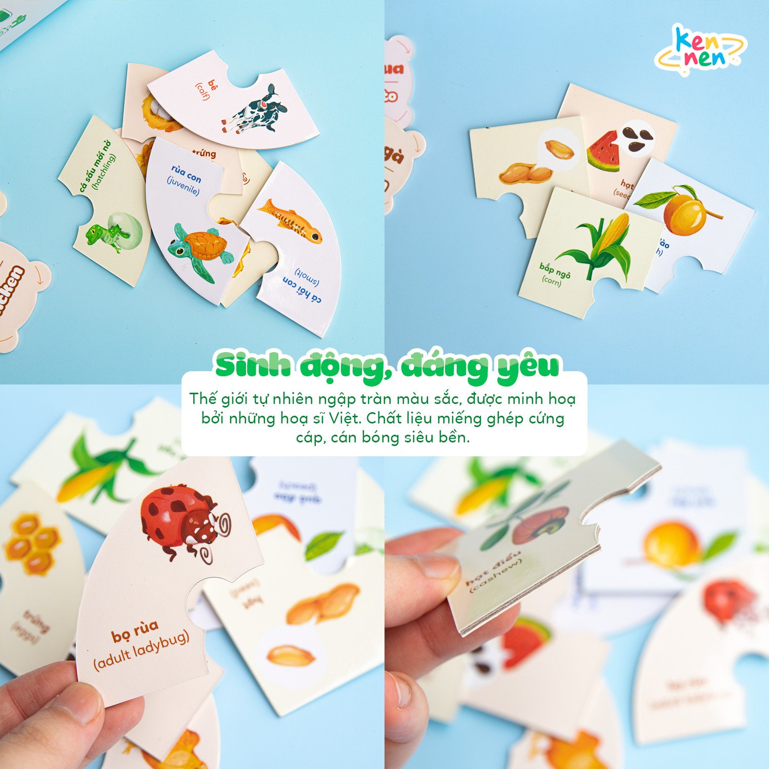 Kennen Match it - Puzzle học chữ và đánh vần Tiếng Việt 5in1 và học các Kỹ năng sống, Vòng đời của sự sống - Dành cho bé từ 3 tuổi