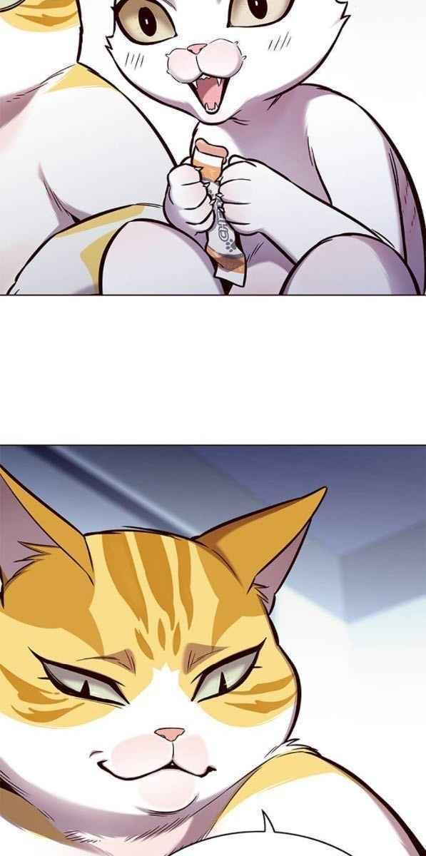 biến thân thành mèo chapter 153 66