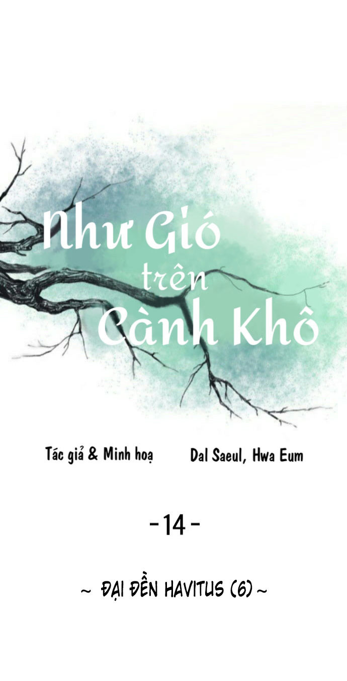 như gió trên cành cây khô chapter 14 1