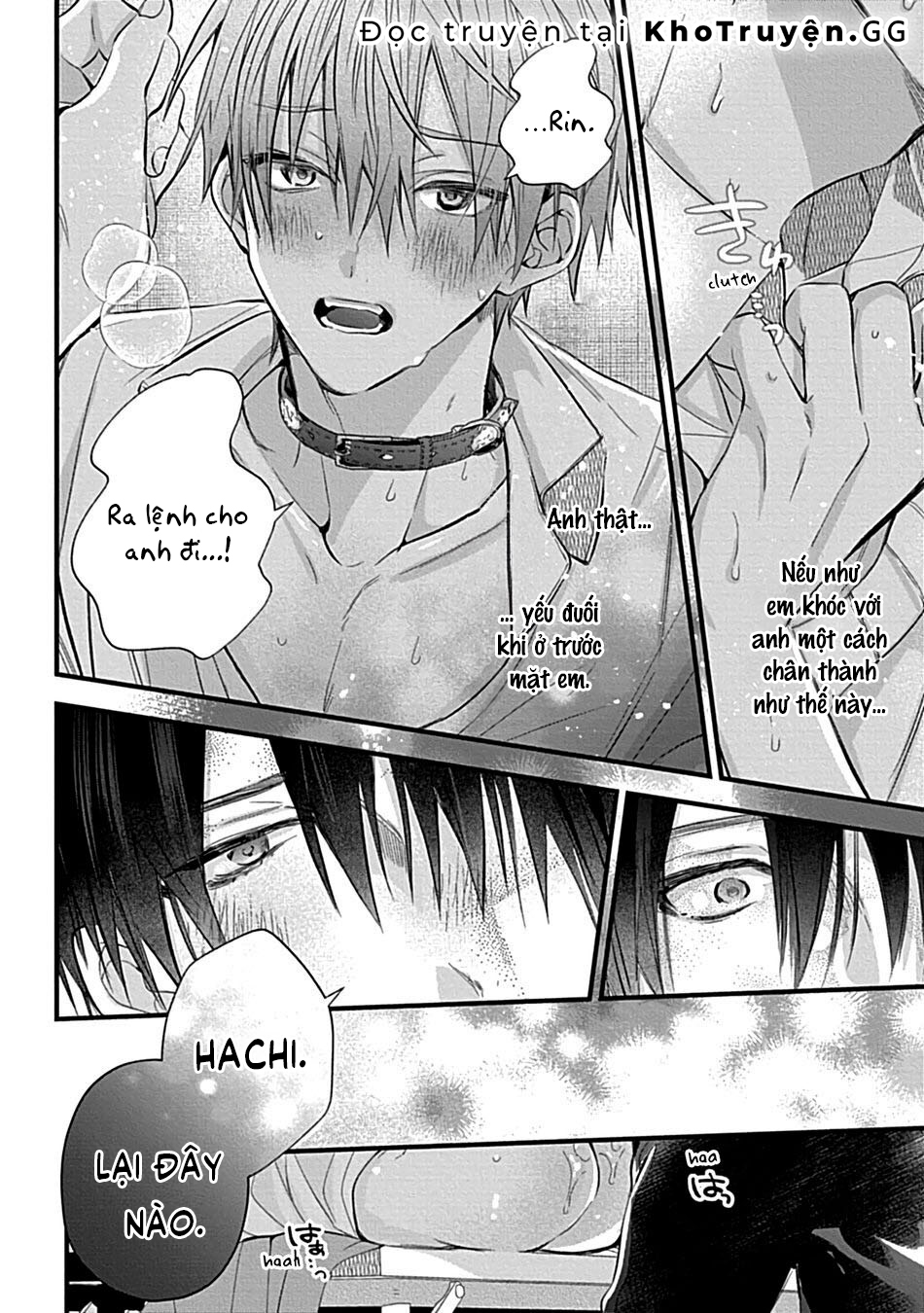 vòng cổ của hachi chapter 1 28