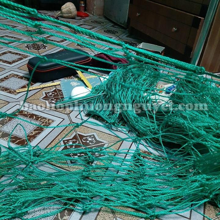 Lưới giàn leo,lưới giàn cây