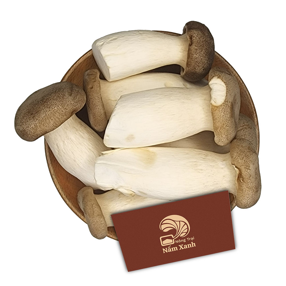 Nấm Đùi Gà Tươi 500gr - Nông Trại Nấm Xanh