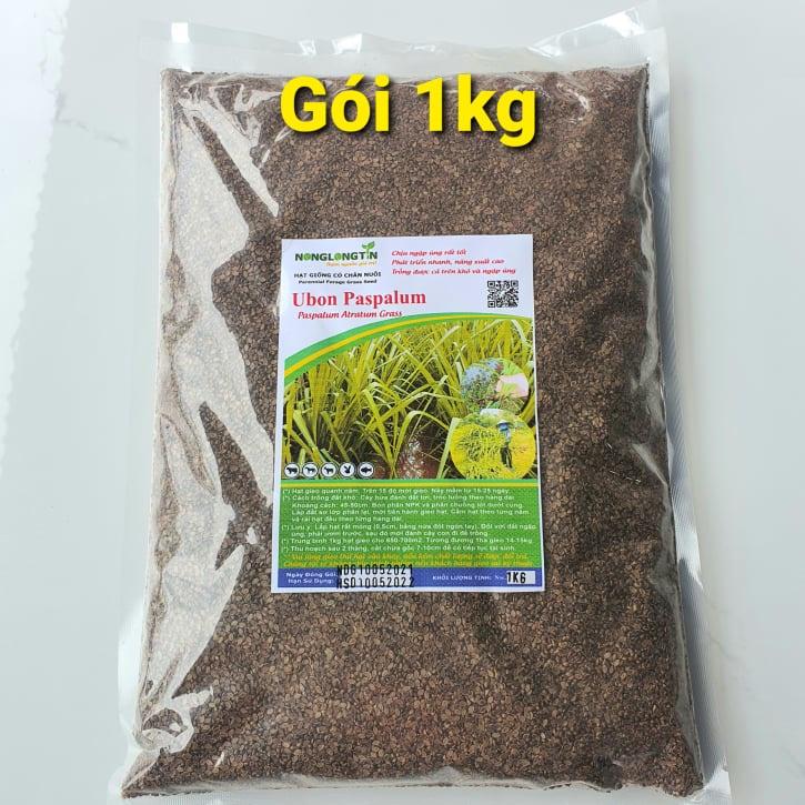 Hạt Giống Cỏ Paspalum Atratum - Cỏ Chịu Ngập Úng, CHịu Ngập Nước Rất Tốt