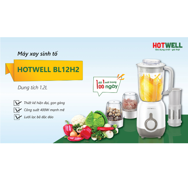 Máy Xay Sinh Tố Hotwell BL12H2, Bảo Hành 12 Tháng 1 Đổi 1 Trong 100 Ngày - Hàng Chính Hãng