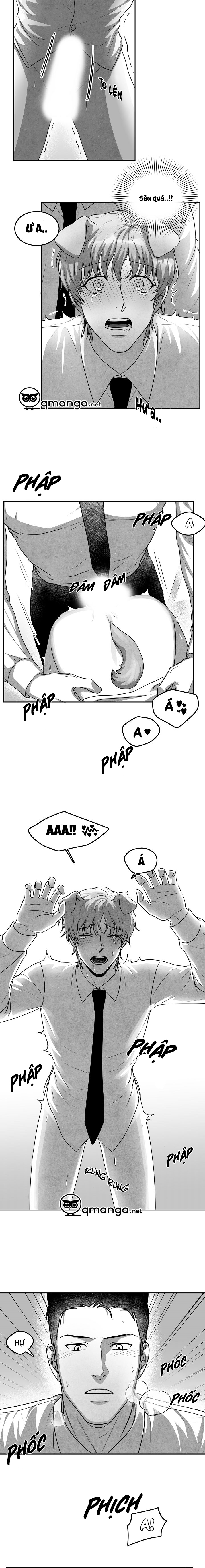 khi cún biết yêu chapter 13 10