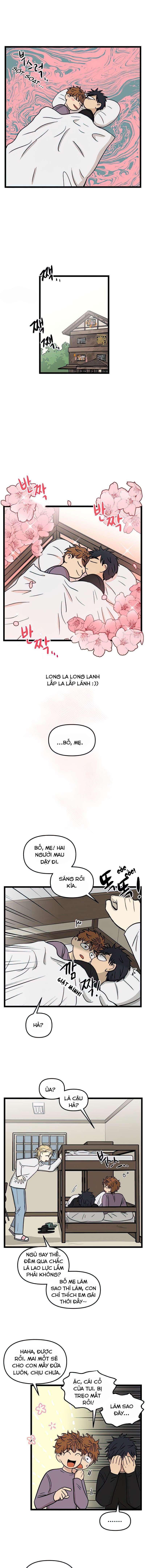 no home - không nhà chapter 97 11