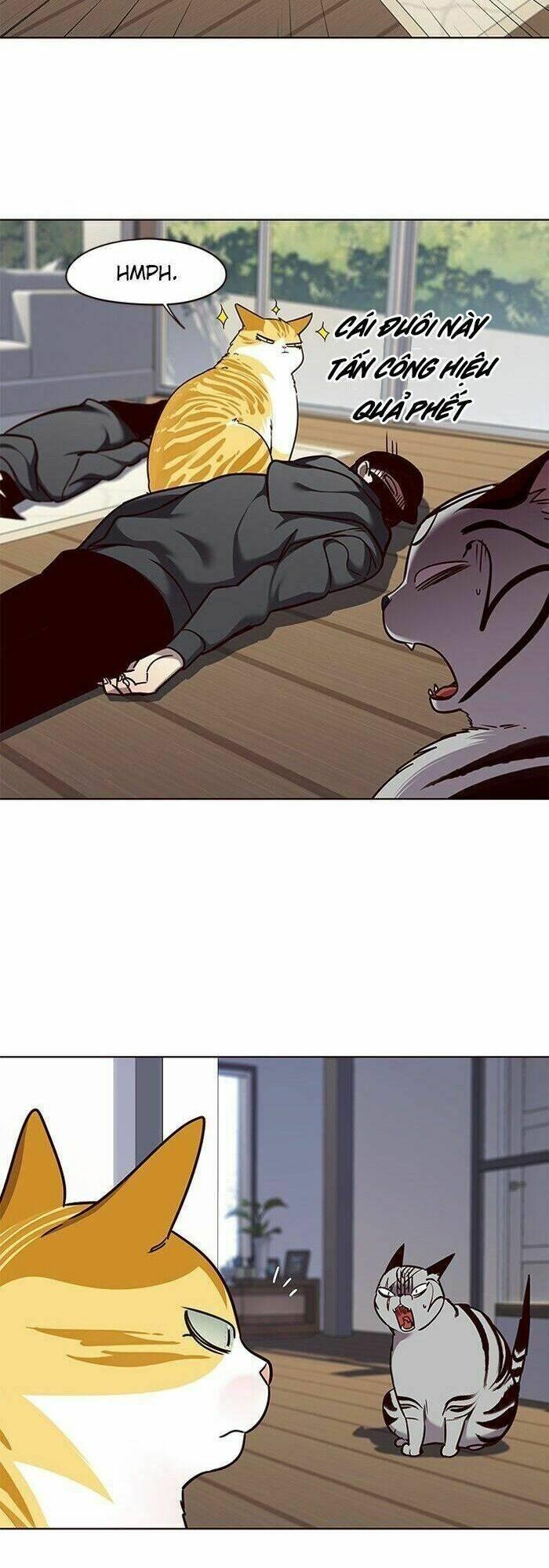 biến thân thành mèo chapter 58 24