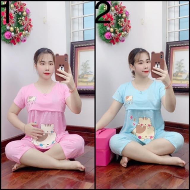 BỘ BẦU-SAU SINH LỬNG COTTON