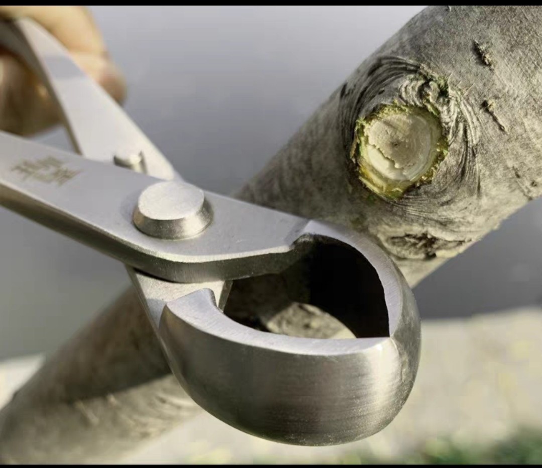 Kìm cạp cây bonsai, cạp tròn cạp xéo hàng nội địa NHẬT BẢN bằng thép đúc nguyên khối-Size 21cm