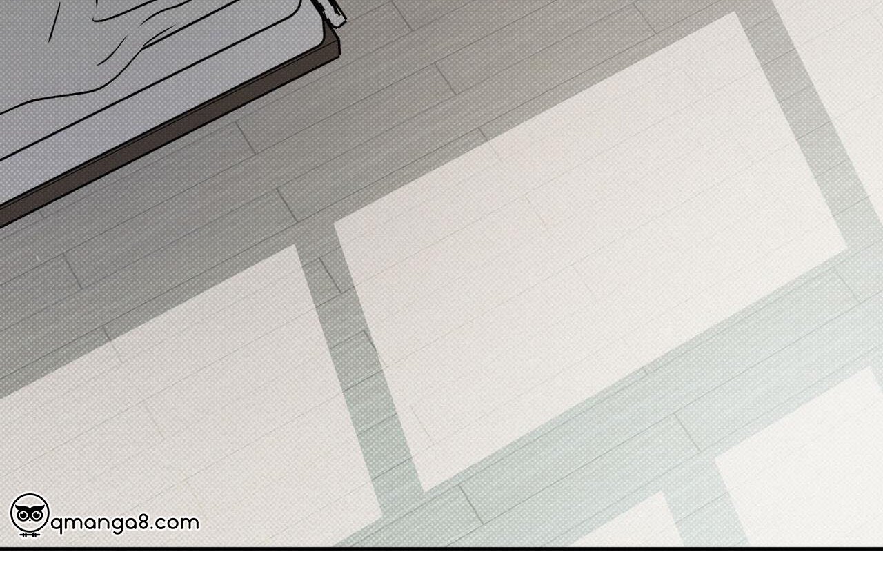 chàng giao pizza và gold palace chapter 47 157