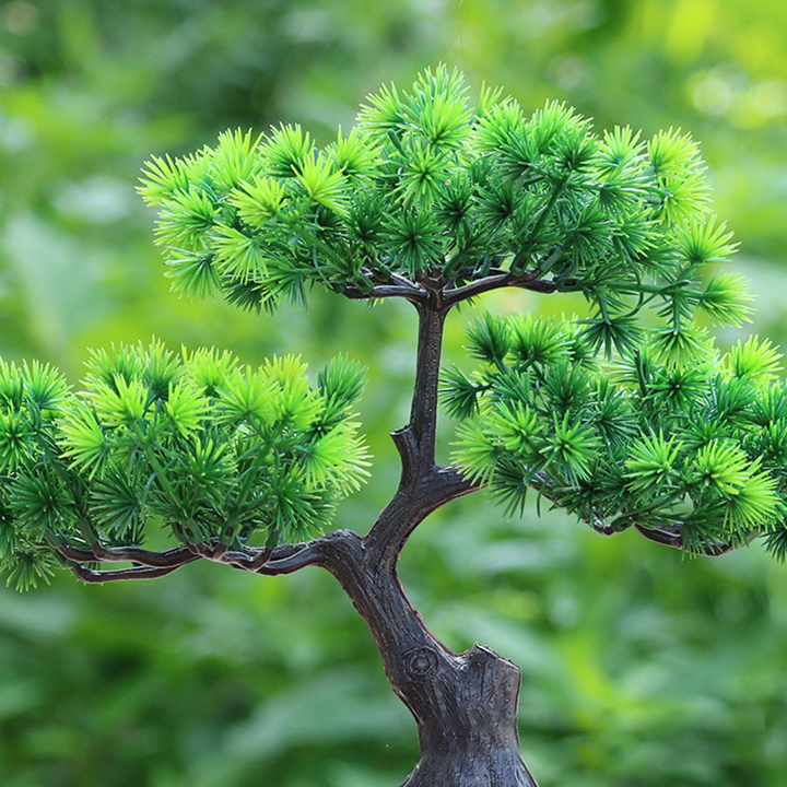 Chậu Cây Bonsai Dáng Cây Thông Trang Trí Nhà Cửa Sang Trọng - Hoa Giả, Cây Giả