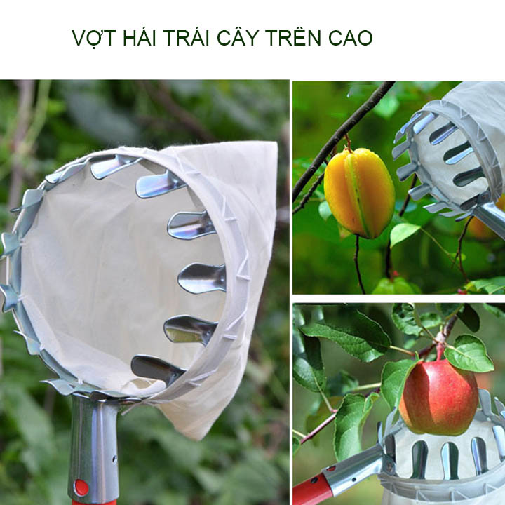 Vợt hái trái cây trên cao đa năng kèm túi vải, khung kim loại dày dặn