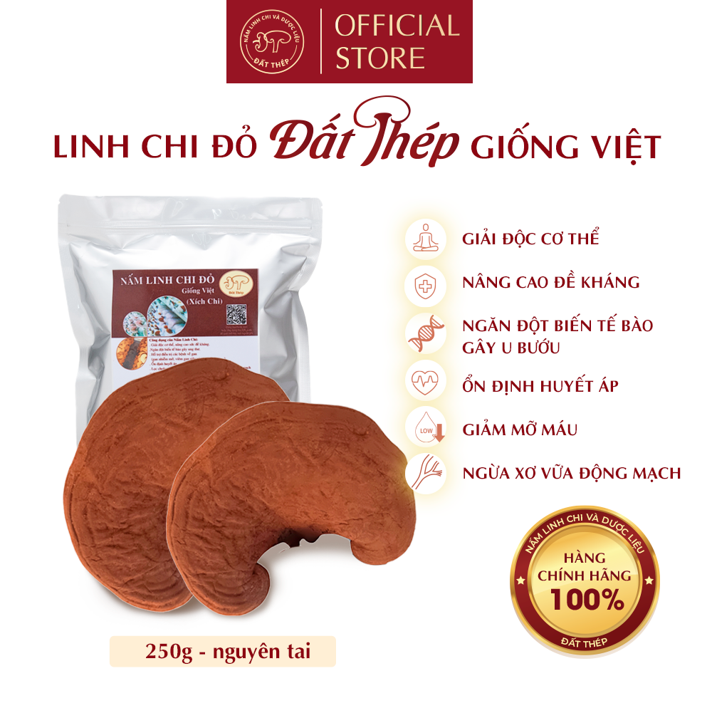 Nấm Linh Chi Đỏ Đất Thép Giống Việt 250g - Giải độc gan - Ổn định đường huyết