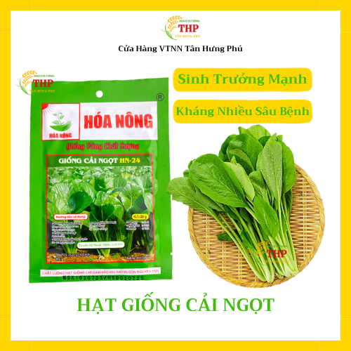 Hạt giống Cải Ngọt HN-24 | Hạt Giống | Gói 20gr