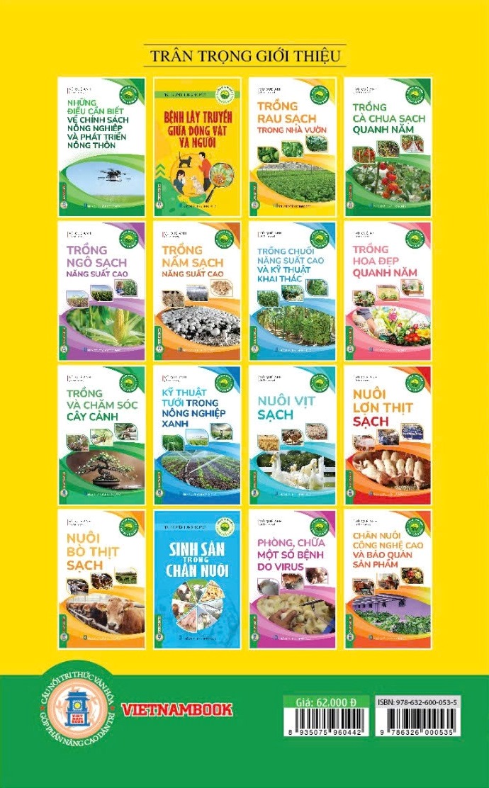 Nông Nghiệp Xanh Và Sạch - Trồng Rau Sạch Trong Nhà Vườn