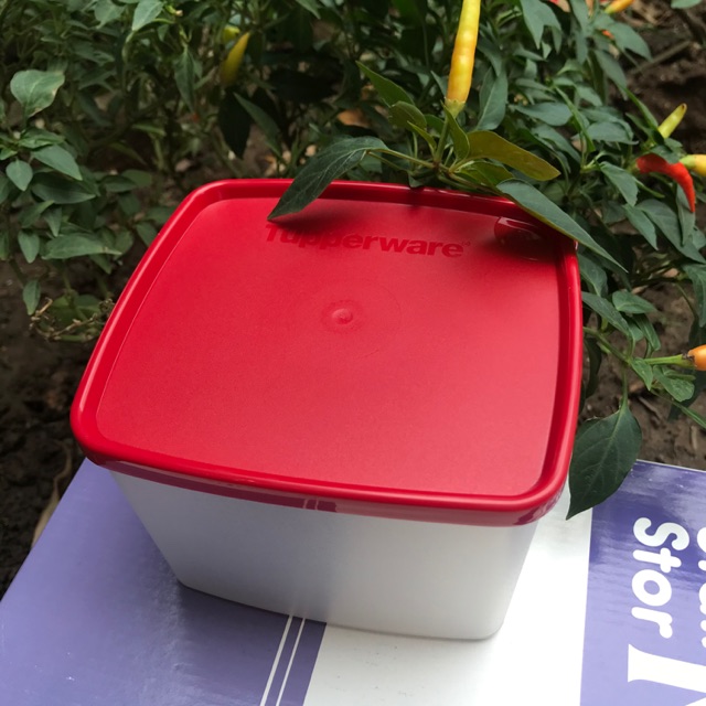 Hộp đựng ngăn mát hoặc đồ khô Tupperware Medium Square 1lit