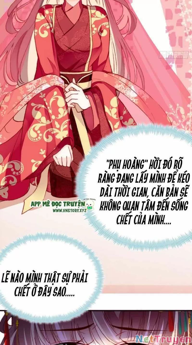 lại bị bệnh chiều chuộng quấn lấy chapter 2 7
